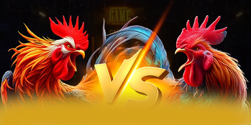 Cùng trải nghiệm BET168 - Cổng cá cược được tin dùng tại Việt Nam