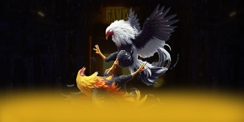 8xbet - Trang game được game thủ yêu thích trên thị trường