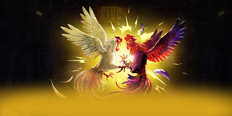 Dịch vụ hỗ trợ người chơi tại BET168
